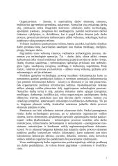 Produkto gamybos veiklos organizavimas 2 puslapis