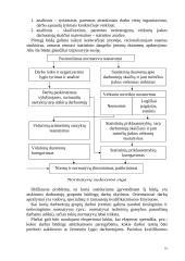 Produkto gamybos veiklos organizavimas 16 puslapis