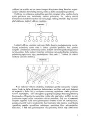 Produkto gamybos veiklos organizavimas 4 puslapis