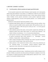 Gamybos įmonės valdymas, praktiniai patarimai 11 puslapis