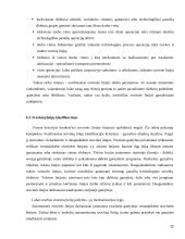 Gamybos įmonės valdymas, praktiniai patarimai 12 puslapis