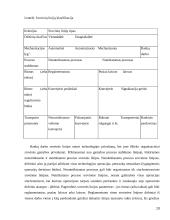 Gamybos įmonės valdymas, praktiniai patarimai 13 puslapis