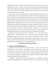 Gamybos įmonės valdymas, praktiniai patarimai 14 puslapis