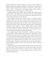 Gamybos įmonės valdymas, praktiniai patarimai 7 puslapis