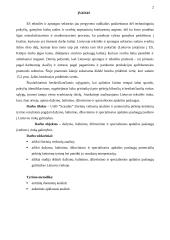 Verslo organizacinis projektavimas 2 puslapis