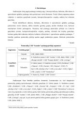 Verslo organizacinis projektavimas 11 puslapis