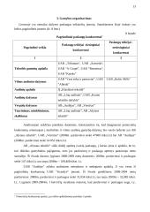 Verslo organizacinis projektavimas 13 puslapis