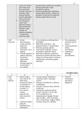 Verslo organizacinis projektavimas 17 puslapis