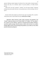 Verslo organizacinis projektavimas 19 puslapis