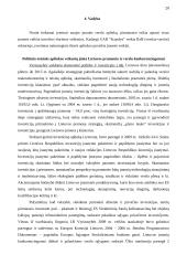 Verslo organizacinis projektavimas 20 puslapis