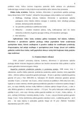 Verslo organizacinis projektavimas 8 puslapis