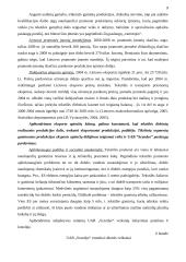 Verslo organizacinis projektavimas 9 puslapis