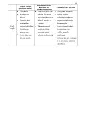 Verslo organizacinis projektavimas 10 puslapis