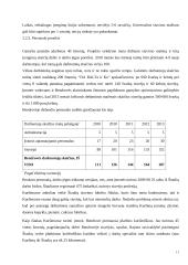 Firmos organizacinis projektavimas 11 puslapis