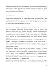 Firmos organizacinis projektavimas 12 puslapis