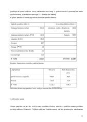 Firmos organizacinis projektavimas 13 puslapis