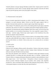 Firmos organizacinis projektavimas 15 puslapis