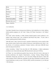 Firmos organizacinis projektavimas 17 puslapis