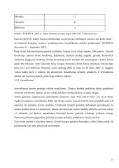 Firmos organizacinis projektavimas 19 puslapis