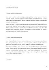 Firmos organizacinis projektavimas 20 puslapis