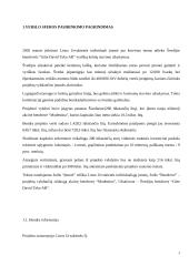 Firmos organizacinis projektavimas 3 puslapis