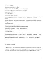 Firmos organizacinis projektavimas 4 puslapis
