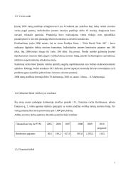 Firmos organizacinis projektavimas 5 puslapis