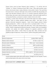 Firmos organizacinis projektavimas 7 puslapis