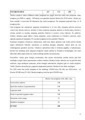 Firmos organizacinis projektavimas 10 puslapis