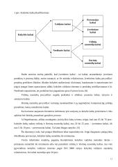 Gamybos organizavimo kokybės kontrolė 12 puslapis