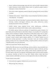 Gamybos organizavimo kokybės kontrolė 8 puslapis