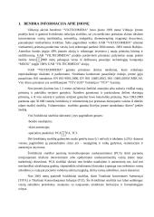 UAB "Viltechmeda " analizė  2 puslapis