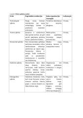 UAB "Viltechmeda " analizė  11 puslapis