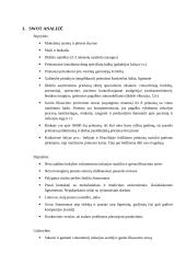 UAB "Viltechmeda " analizė  12 puslapis