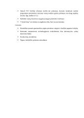 UAB "Viltechmeda " analizė  13 puslapis