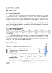 UAB "Viltechmeda " analizė  3 puslapis