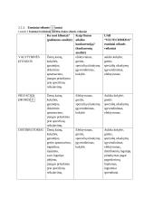 UAB "Viltechmeda " analizė  5 puslapis