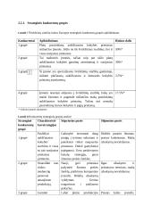 UAB "Viltechmeda " analizė  9 puslapis