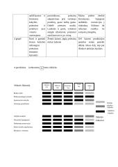 UAB "Viltechmeda " analizė  10 puslapis
