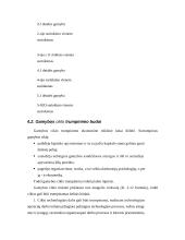 Gamybos įmonės valdymas. Konspektas 15 puslapis