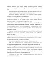 Gamybos įmonės valdymas. Konspektas 5 puslapis