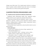 Gamybos įmonės valdymas. Konspektas 8 puslapis