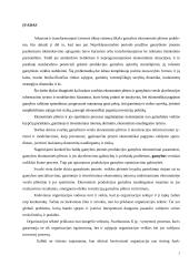 Organizacijos gamybos procesas 2 puslapis