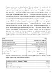 Organizacijos gamybos procesas 11 puslapis