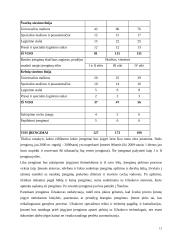 Organizacijos gamybos procesas 13 puslapis