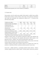 Organizacijos gamybos procesas 17 puslapis