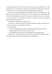 Organizacijos gamybos procesas 3 puslapis