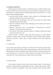 Organizacijos gamybos procesas 8 puslapis