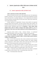 Įmonės organizacinės veiklos vertinimas 11 puslapis