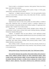 Įmonės organizacinės veiklos vertinimas 12 puslapis